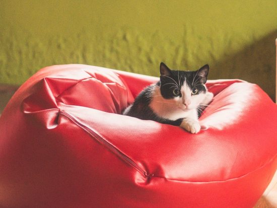 Kies jij ook voor comfort? Ga voor de juiste zitzak!