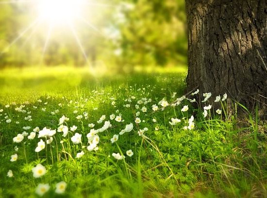 Wees voorbereid op de zomer