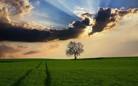 De voordelen van wonen op het platteland